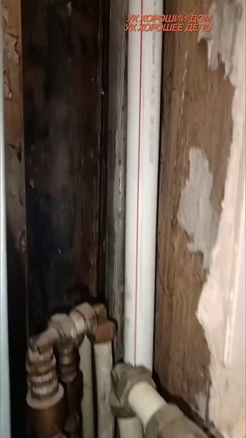 1000985813.mp4