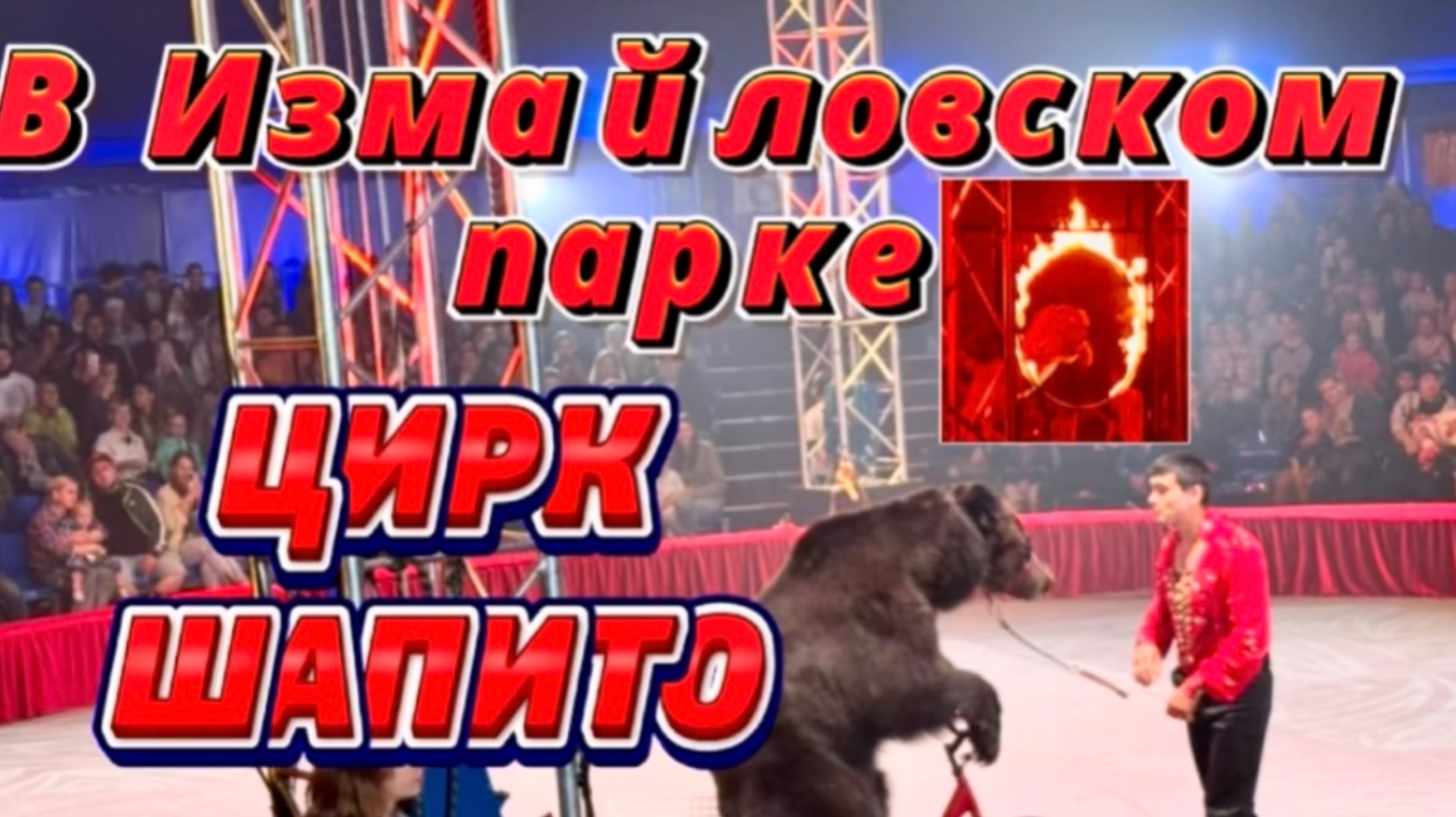 ЦИРК ШАПИТО В ИЗМАЙЛОВСКОМ ПАРКЕ! 😍