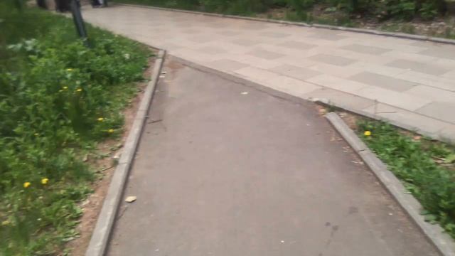 VID_иду