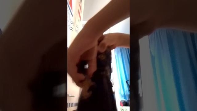 милый котик 7 серия 3 сезона
