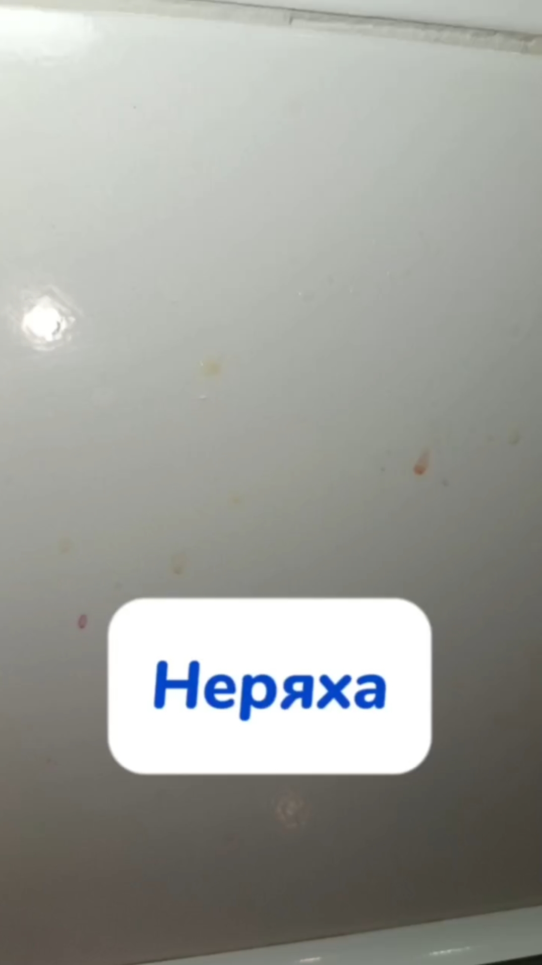 А вы когда мыли кухонный фартук?