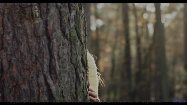 Каждый аккорд будто открывает новый угол планеты - Springtime -- Holle Mangler -- Escape Over Needle
