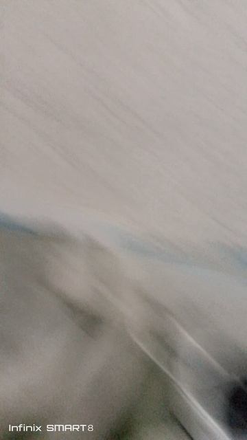 Ларгус прыгает на батуте