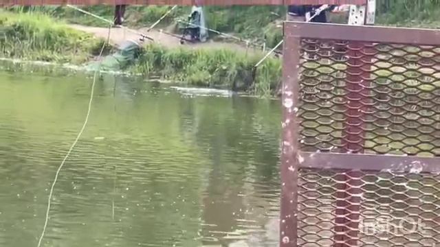 1000089768.mp4
