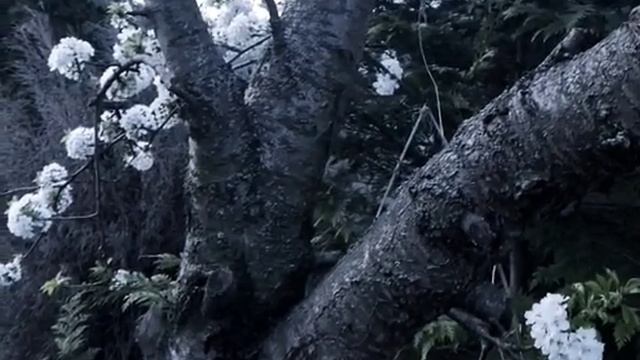 -すべてがうまくいくでしょう。