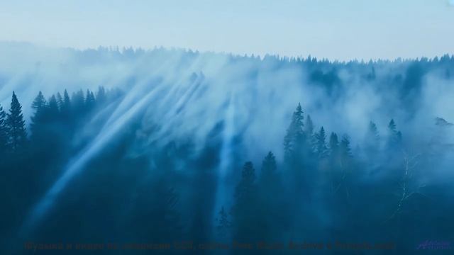 Звуки, которые слышат только просветленные - а вы - Niagara Falls In A Raft -- Podington Bear -- Sai