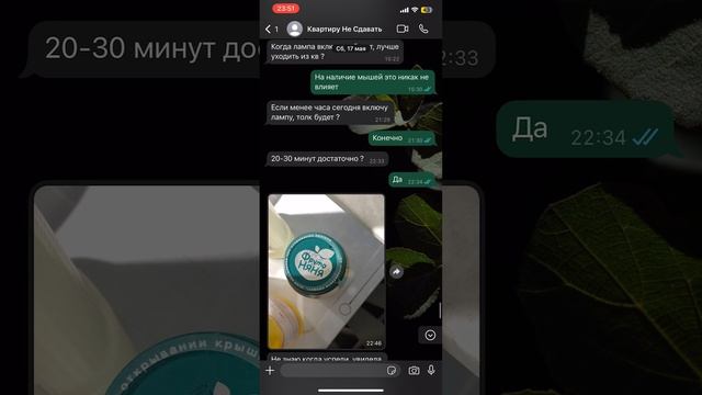 Переписка с квартирантом для Авито
