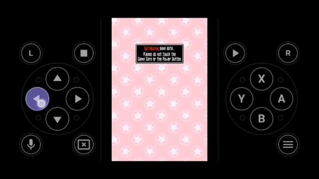 3 IN 1 (NDS-NGC-1 exe game) Gameplay
