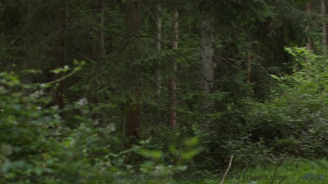 Музыка, которая звучит так, будто ее создала сама природа! - Longest Year -- Scott Holmes Music -- I