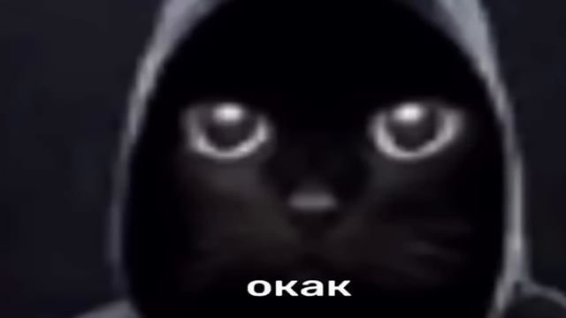 спойлер к видео додумывайтесь:)😄