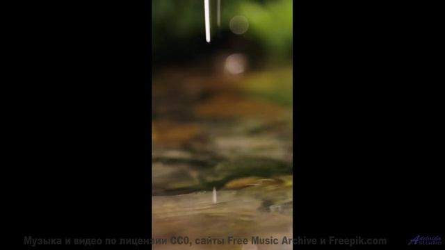 Почему этот пейзаж СВОДИТ людей с ума - Drown -- Mise Darling -- Rebel