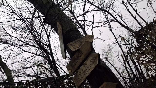 Казаки выбрали путь служения России и ежедневно доказывают свою доблесть