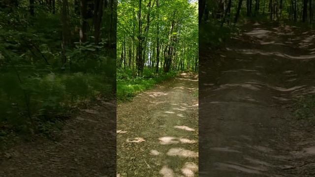 1000042002.mp4