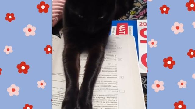 К экзаменам готовится!😂