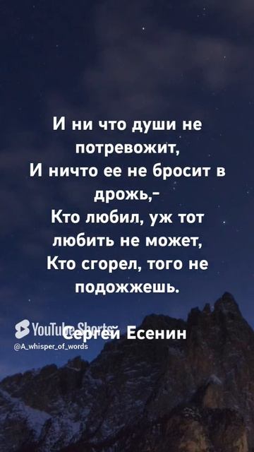 #стихи #поэтично #любовь #поэзия #стихиожизни (1)