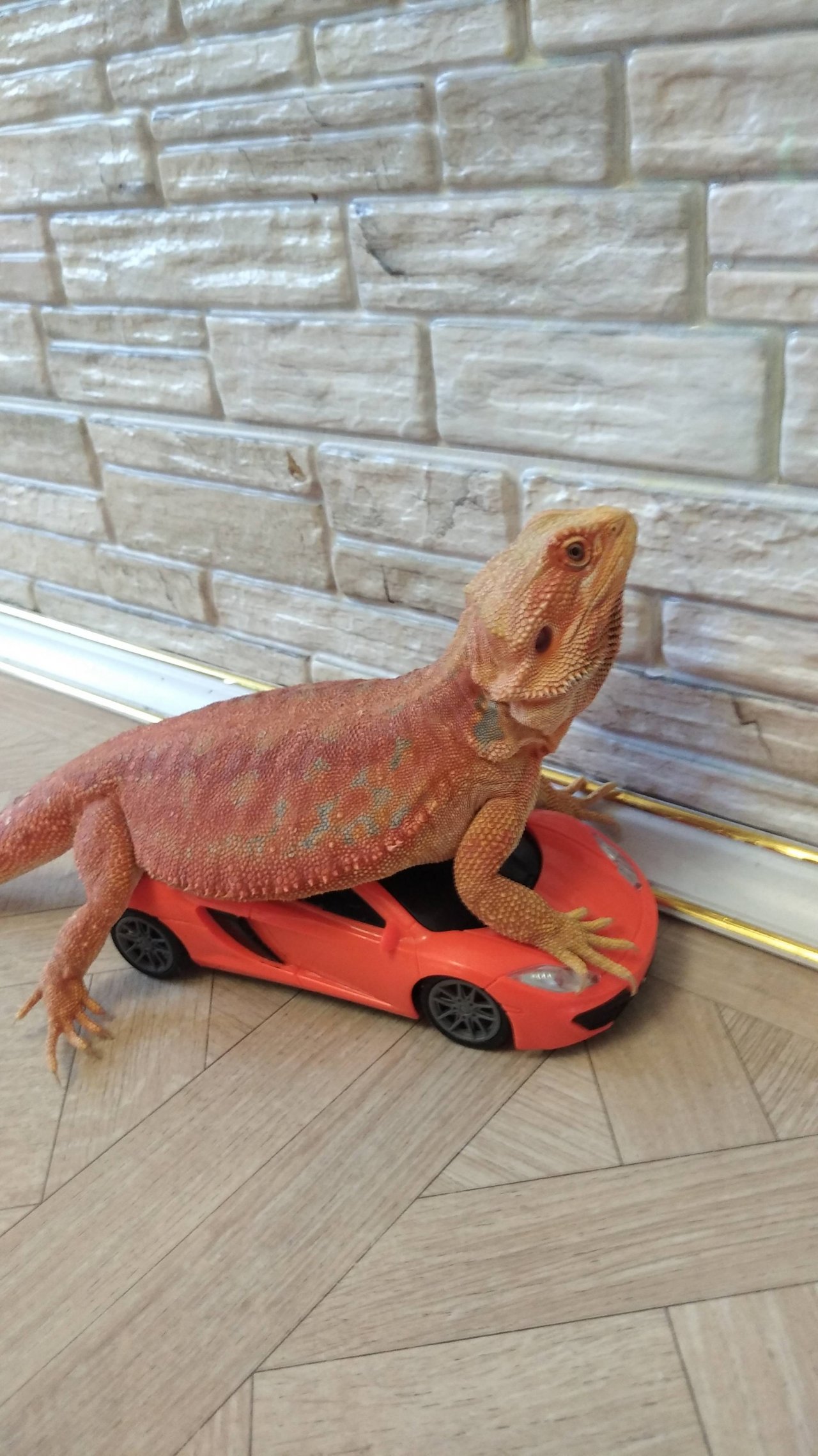 Ученик за рулём