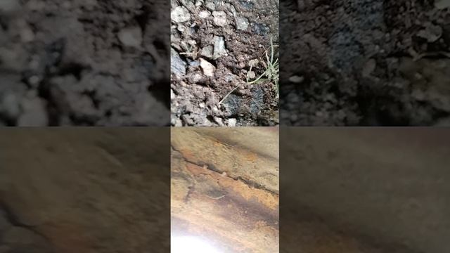 1000043546.mp4