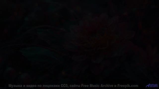 Глаза наполняются слезами красоты при таком сочетании - 20 Minute Meditation 8 -- HoliznaCC0 -- Spac