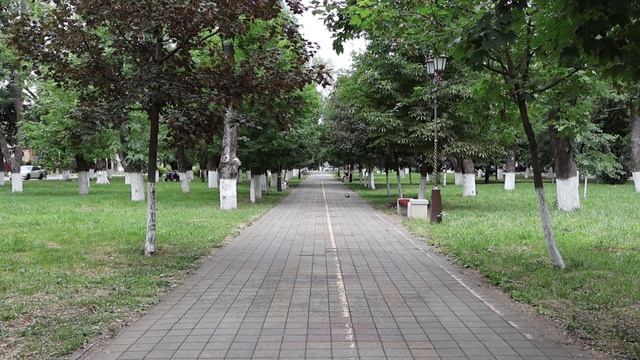 Армавирцы выбрали территорию для благоустройства