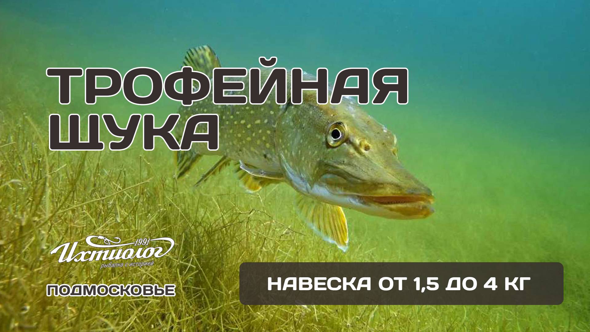 Друзья, всем ХИЩНЫЙ привет! 🐟⚡️  ЗАРЫБЛЕНИЕ ЩУКОЙ!