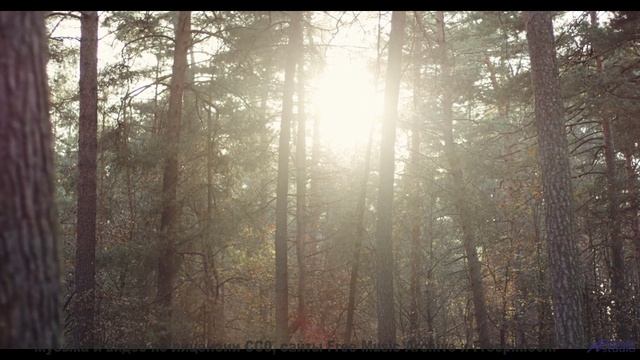 Ты не сможешь забыть его, даже если захочешь! - Better At Forgetting -- Plates Of Cake -- Live at WF