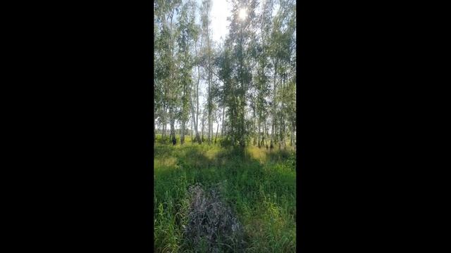 20250611_154333 (online-video-cutter.com)