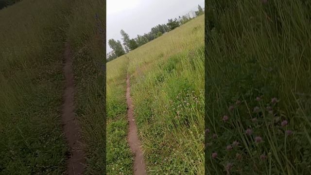 1000109247.mp4