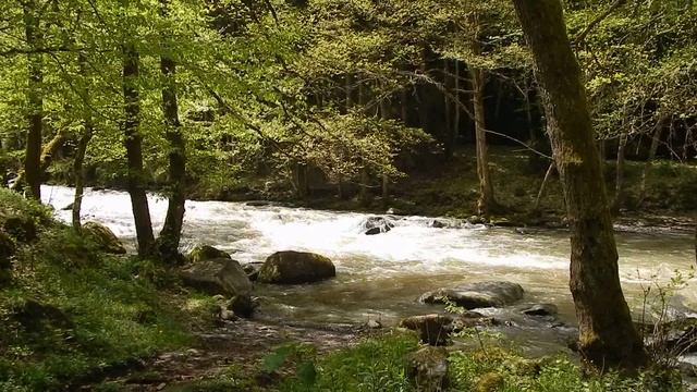 2019_05_01-09_Грузия-06 Боржоми