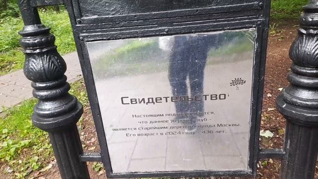 Прогулялась под дождём в яндекс,зашла в парк,усадьба Грачёвка!