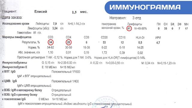 Иммунитет