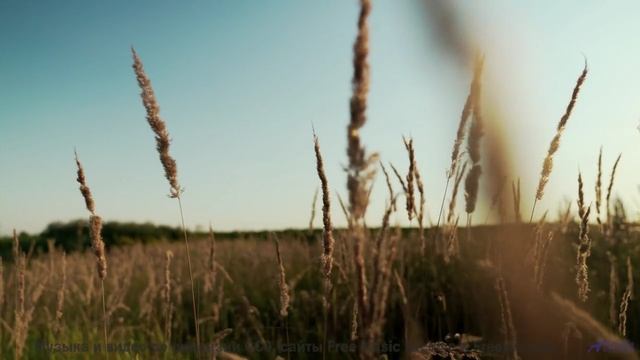 Саунд проникает в душу быстрее любого ветра - There Will Come A Time -- HoliznaCC0 -- Orphaned Media