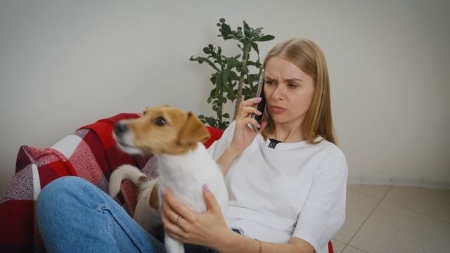 🐾 Снять легко, сдать выгодно — особенно с питомцем!