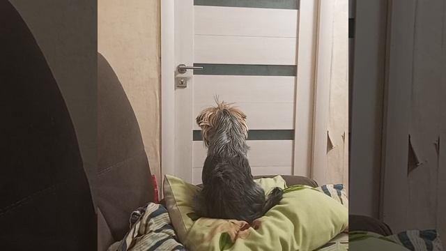 1000023327.mp4