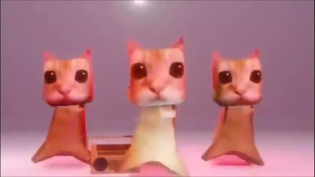 котики танцуют под песню 1 час
