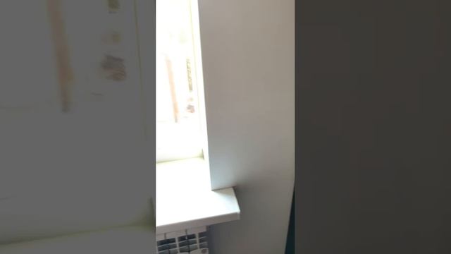465177598390478369
