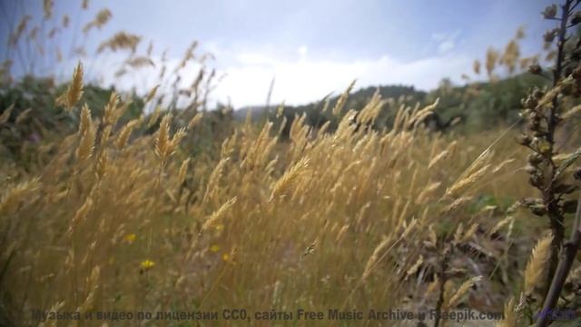 Каждая секунда - как вспышка эмоций под этот трек - Indigo -- Vincent Augustus -- Nightlife for Morn