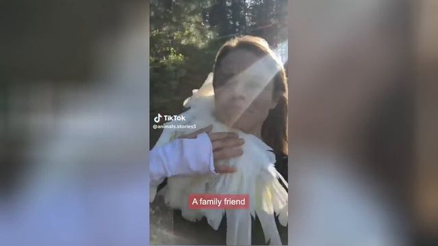 Best video of Tik Tok! 18.06.25 / 10