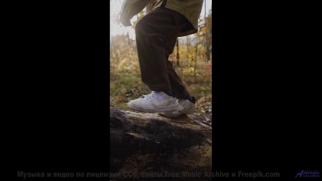 Ощущение полёта не покидает всё время просмотра - Nah -- Ryan Andersen -- MORE