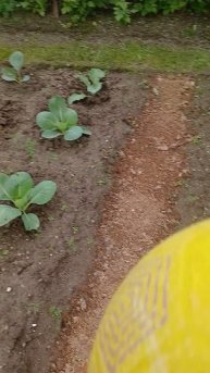 как посануть неожиданно