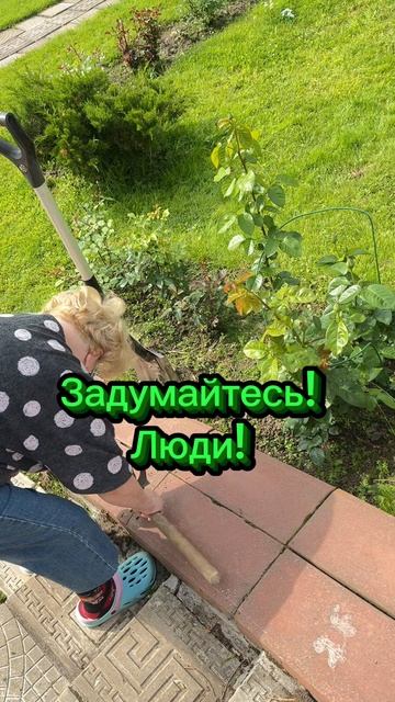 Лучше с трудом заниматься любовью, чем с любовью заниматься трудом!