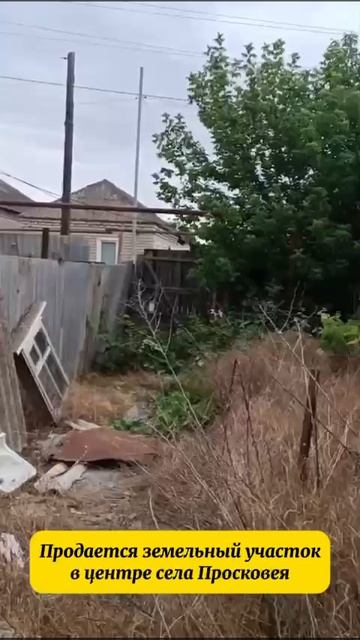 1000363656.mp4