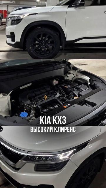 Какую предпочтешь ты? Поделись в комментариях 😉