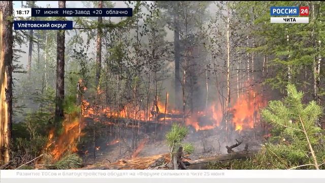 Жизнь с Авиалесоохраной, Спецрепортаж Антона Калганова, ГТРК-Чита