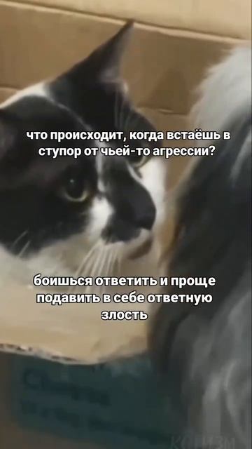 Про злость