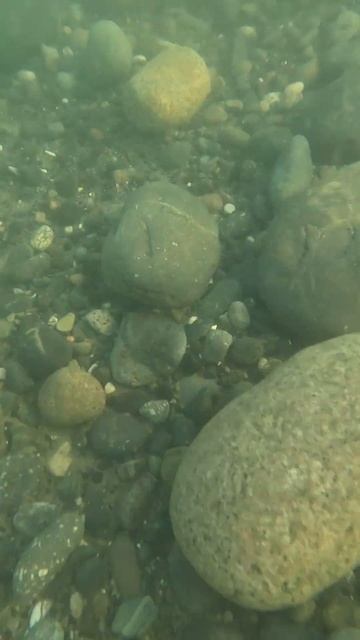 Пляж в Абхазии