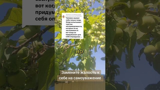 Замените жалость к себе на самоуважение!