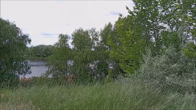 Встречаем вместе наши дни