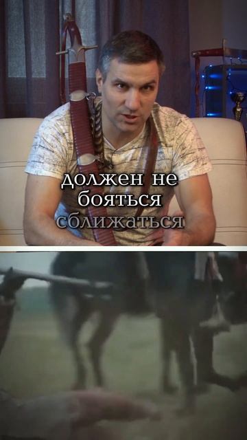 Что такое боевой конь? #исб #история #реконструкция