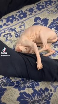 1 марта 2022 г.