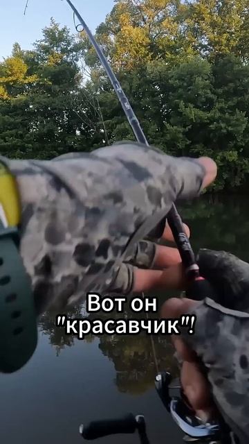 Первый заброс на малой реке #fishing  #new #рыбалка #norstream #окунь #спиннинг #spin